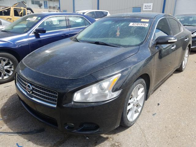 Photo 1 VIN: 1N4AA5APXBC810592 - NISSAN MAXIMA S 