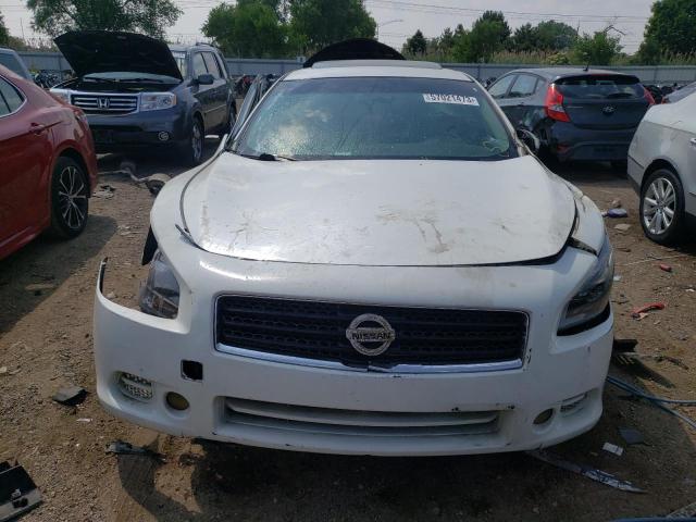 Photo 4 VIN: 1N4AA5APXBC812214 - NISSAN MAXIMA S 