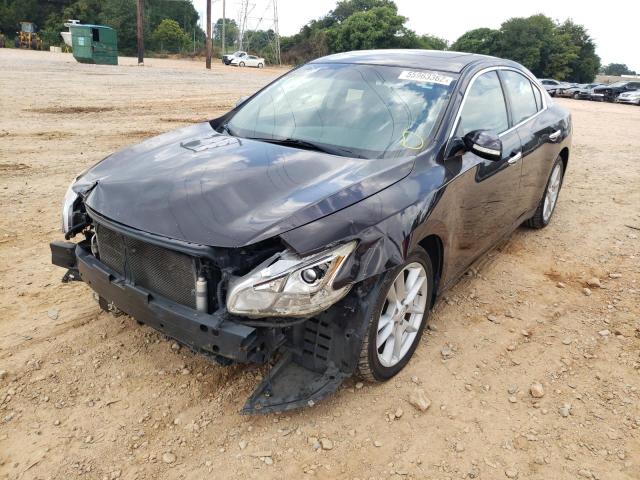 Photo 1 VIN: 1N4AA5APXBC813850 - NISSAN MAXIMA S 