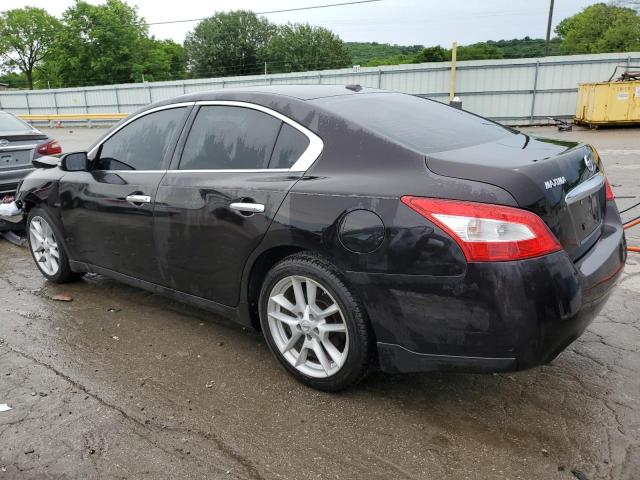 Photo 1 VIN: 1N4AA5APXBC814755 - NISSAN MAXIMA 