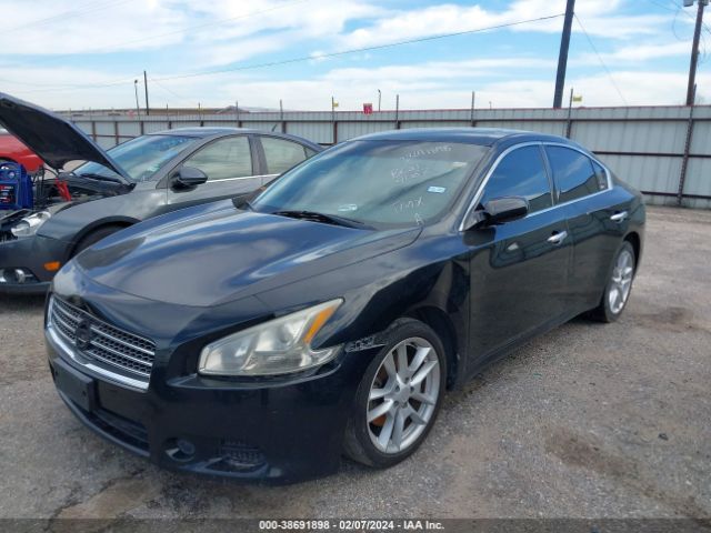 Photo 1 VIN: 1N4AA5APXBC819082 - NISSAN MAXIMA 