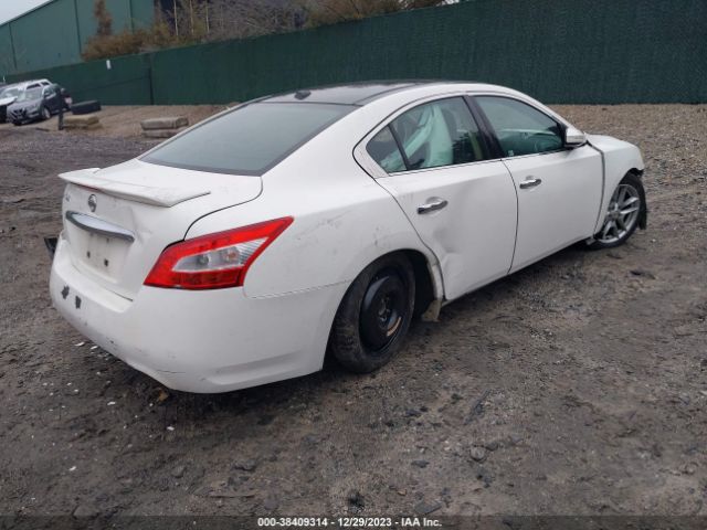 Photo 3 VIN: 1N4AA5APXBC820734 - NISSAN MAXIMA 