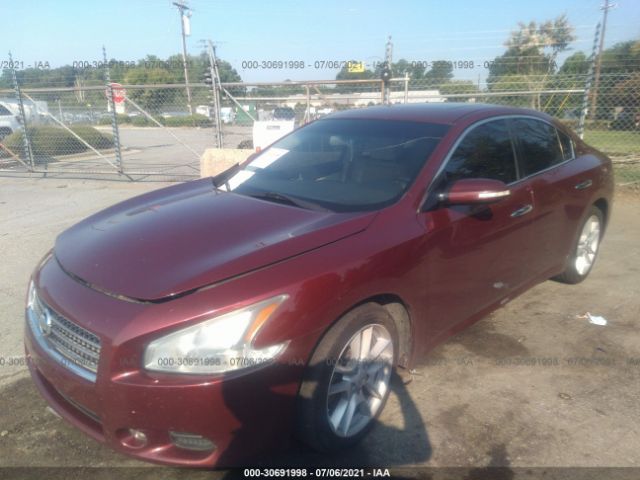 Photo 1 VIN: 1N4AA5APXBC822225 - NISSAN MAXIMA S 