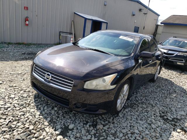 Photo 1 VIN: 1N4AA5APXBC824055 - NISSAN MAXIMA S 