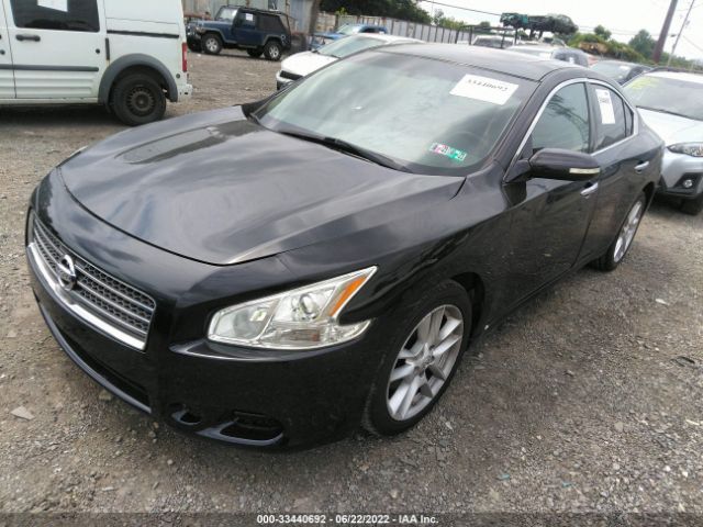 Photo 1 VIN: 1N4AA5APXBC827831 - NISSAN MAXIMA 