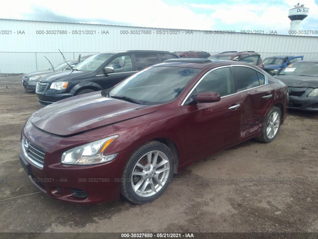 Photo 1 VIN: 1N4AA5APXBC828686 - NISSAN MAXIMA 