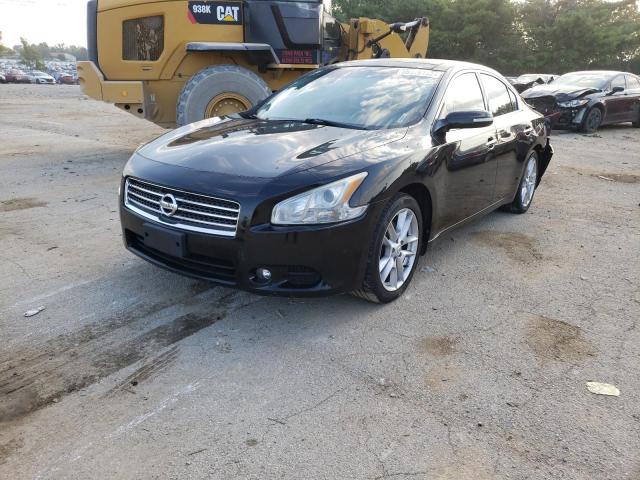 Photo 1 VIN: 1N4AA5APXBC828820 - NISSAN MAXIMA S 