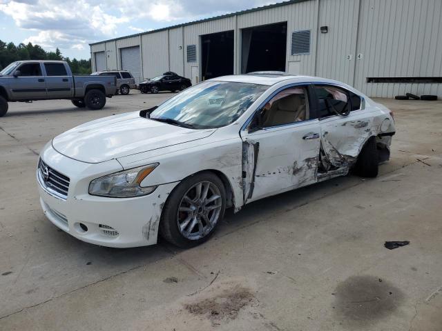 Photo 0 VIN: 1N4AA5APXBC834228 - NISSAN MAXIMA 