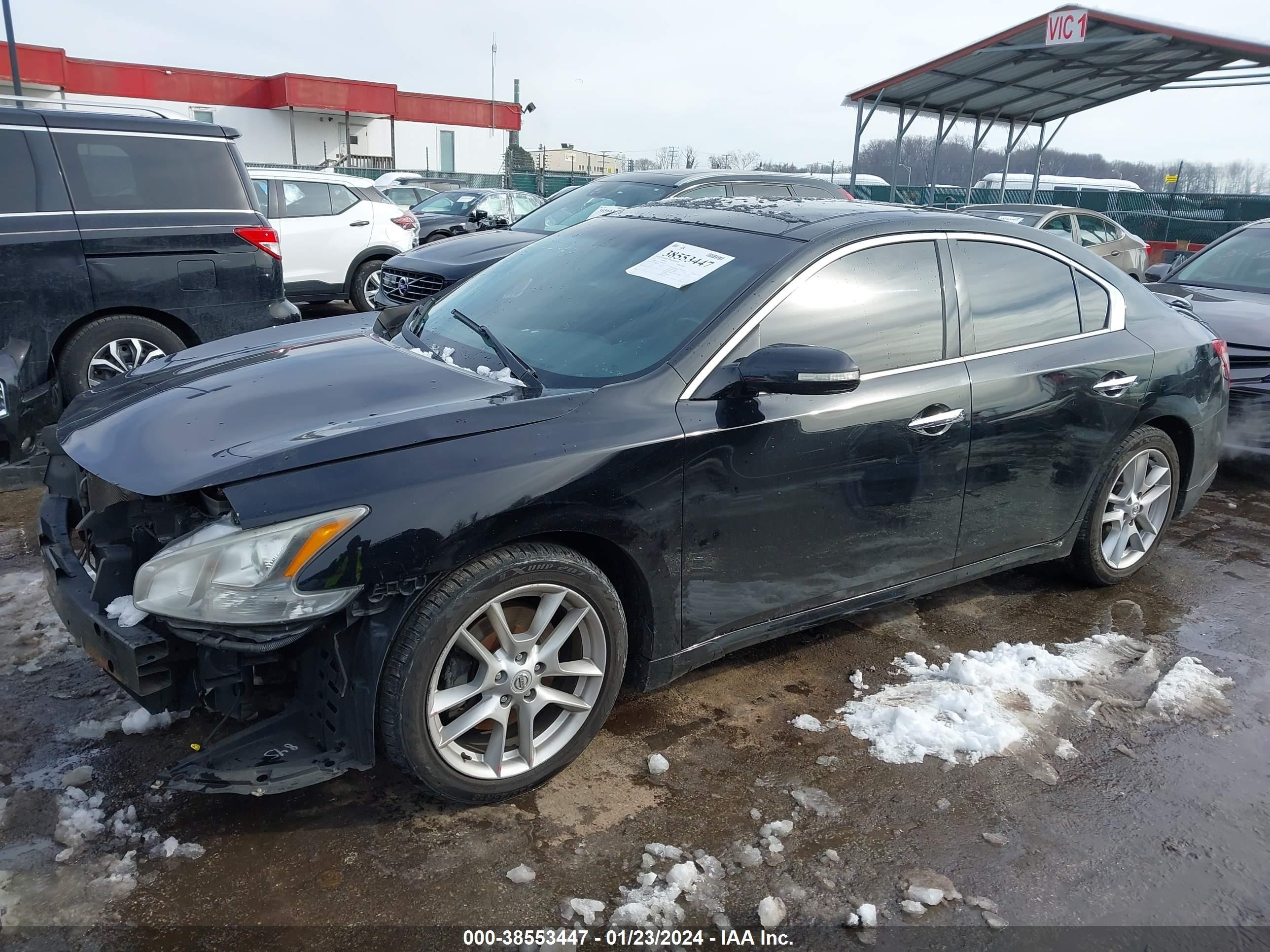 Photo 1 VIN: 1N4AA5APXBC834570 - NISSAN MAXIMA 