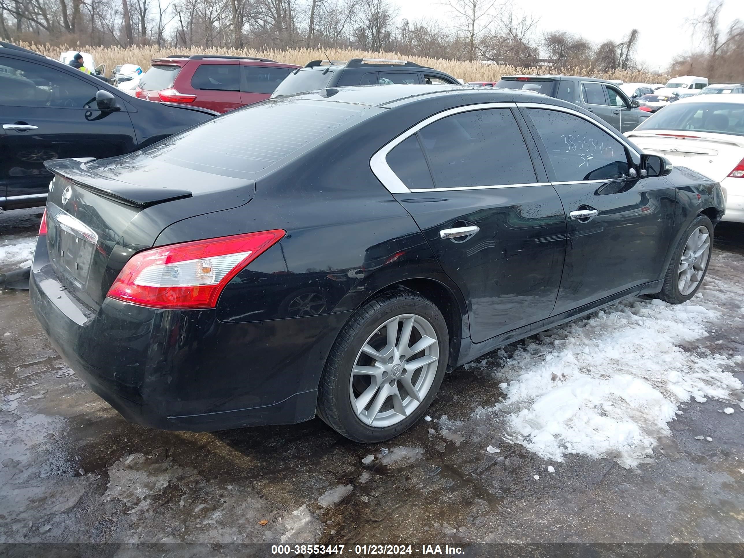 Photo 3 VIN: 1N4AA5APXBC834570 - NISSAN MAXIMA 