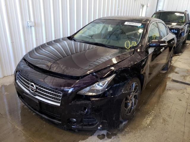 Photo 1 VIN: 1N4AA5APXBC836707 - NISSAN MAXIMA S 