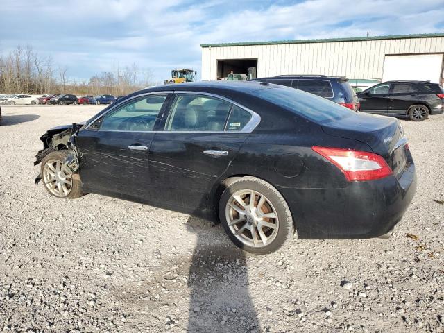 Photo 1 VIN: 1N4AA5APXBC837551 - NISSAN MAXIMA 