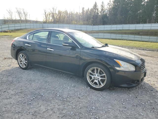 Photo 3 VIN: 1N4AA5APXBC837551 - NISSAN MAXIMA 