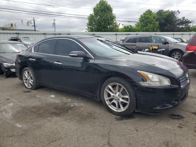 Photo 3 VIN: 1N4AA5APXBC839638 - NISSAN MAXIMA 