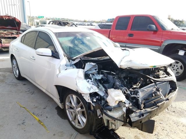 Photo 0 VIN: 1N4AA5APXBC841275 - NISSAN MAXIMA S 