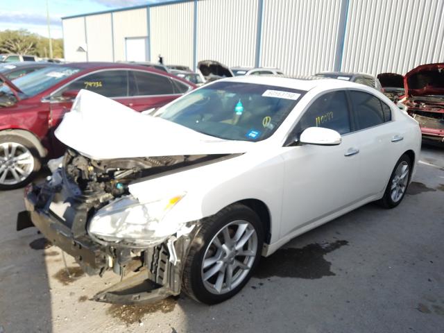 Photo 1 VIN: 1N4AA5APXBC841275 - NISSAN MAXIMA S 