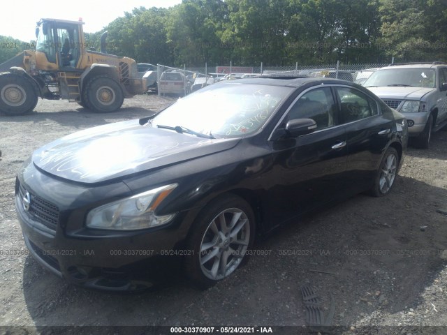 Photo 1 VIN: 1N4AA5APXBC842779 - NISSAN MAXIMA 