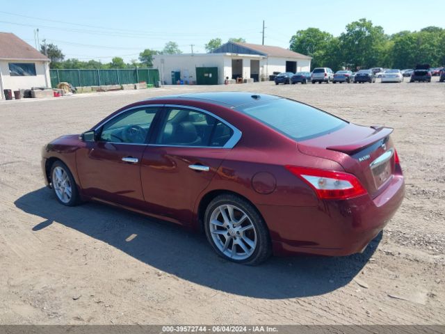 Photo 2 VIN: 1N4AA5APXBC843060 - NISSAN MAXIMA 