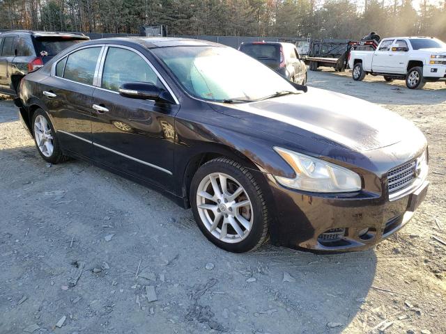 Photo 3 VIN: 1N4AA5APXBC843690 - NISSAN MAXIMA 