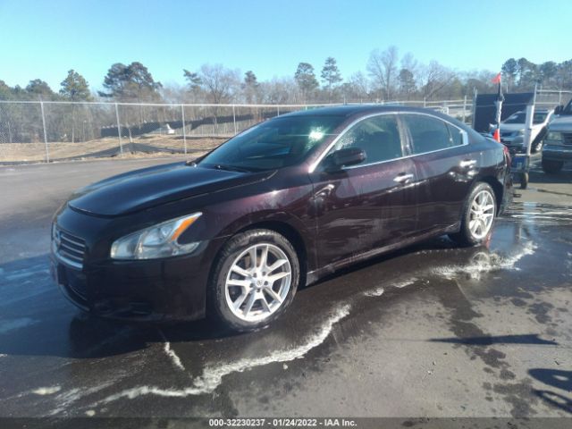 Photo 1 VIN: 1N4AA5APXBC844824 - NISSAN MAXIMA 