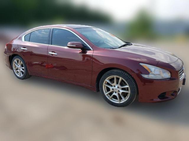 Photo 3 VIN: 1N4AA5APXBC845262 - NISSAN MAXIMA 