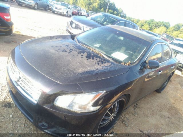 Photo 1 VIN: 1N4AA5APXBC847089 - NISSAN MAXIMA 