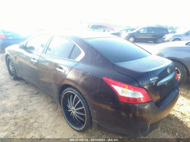 Photo 2 VIN: 1N4AA5APXBC847089 - NISSAN MAXIMA 