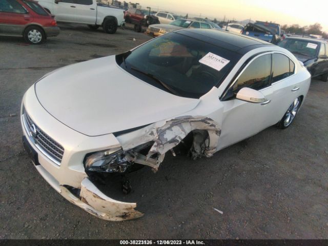 Photo 1 VIN: 1N4AA5APXBC847223 - NISSAN MAXIMA 