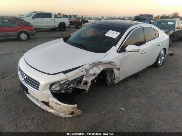 Photo 5 VIN: 1N4AA5APXBC847223 - NISSAN MAXIMA 