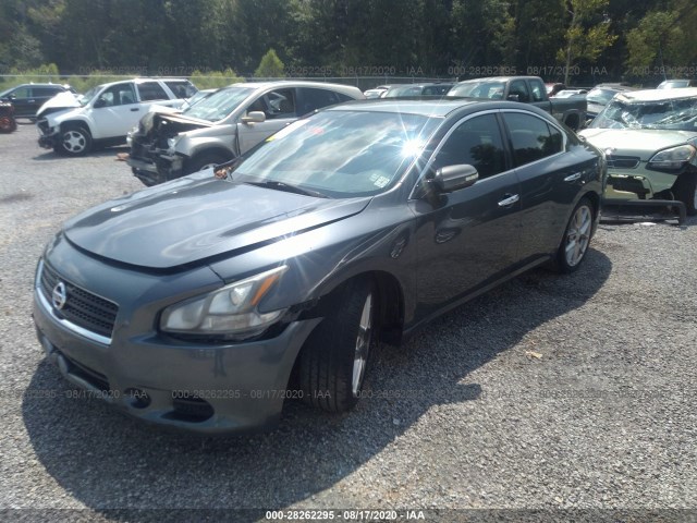 Photo 1 VIN: 1N4AA5APXBC848145 - NISSAN MAXIMA 