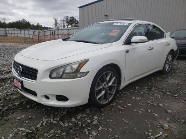 Photo 1 VIN: 1N4AA5APXBC851448 - NISSAN MAXIMA S 