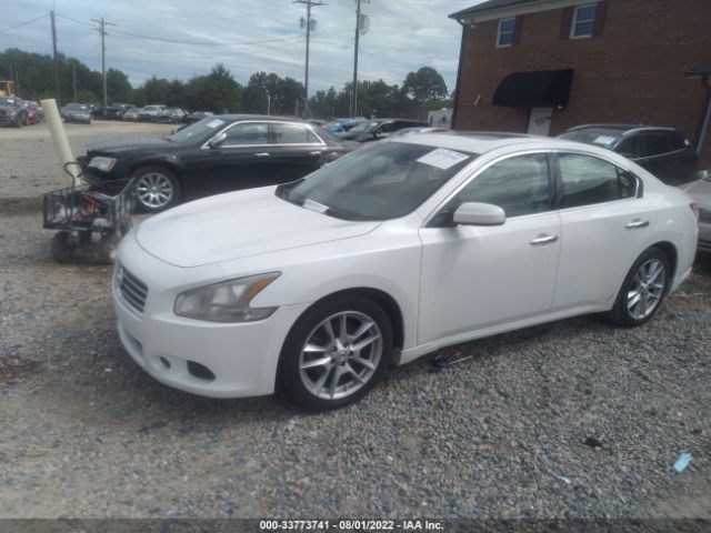 Photo 1 VIN: 1N4AA5APXBC853474 - NISSAN MAXIMA 