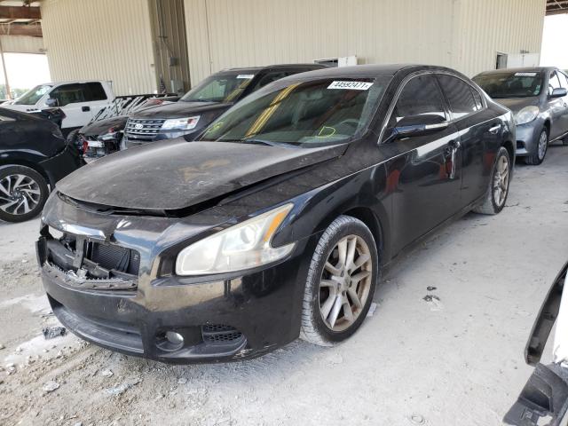 Photo 1 VIN: 1N4AA5APXBC856438 - NISSAN MAXIMA S 