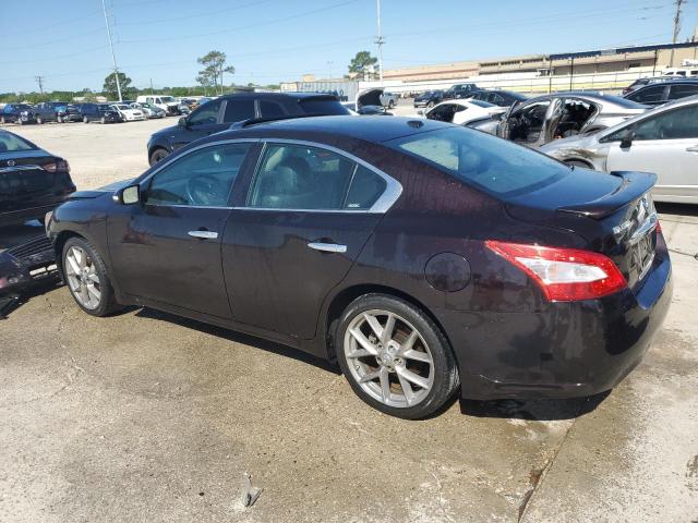 Photo 1 VIN: 1N4AA5APXBC858707 - NISSAN MAXIMA 