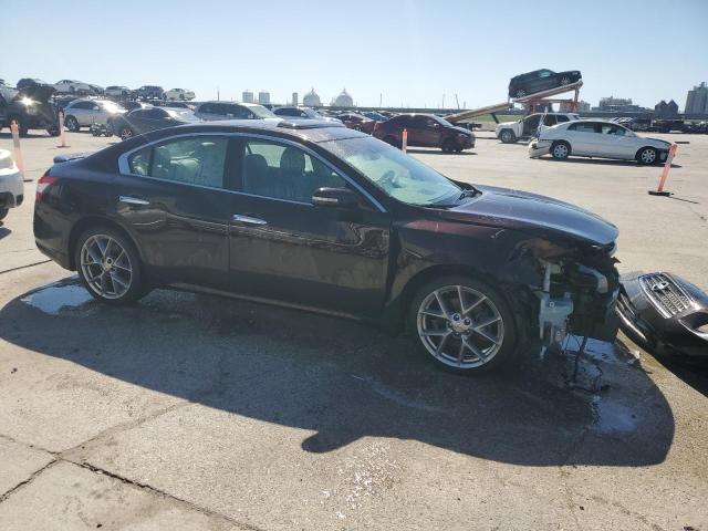 Photo 3 VIN: 1N4AA5APXBC858707 - NISSAN MAXIMA 