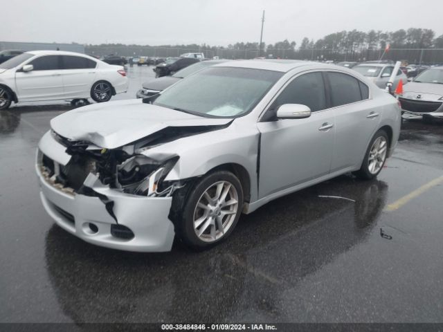 Photo 1 VIN: 1N4AA5APXBC858772 - NISSAN MAXIMA 