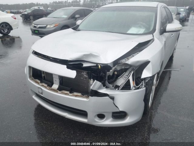 Photo 5 VIN: 1N4AA5APXBC858772 - NISSAN MAXIMA 