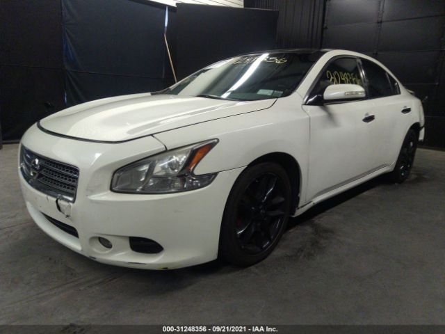 Photo 1 VIN: 1N4AA5APXBC859632 - NISSAN MAXIMA 