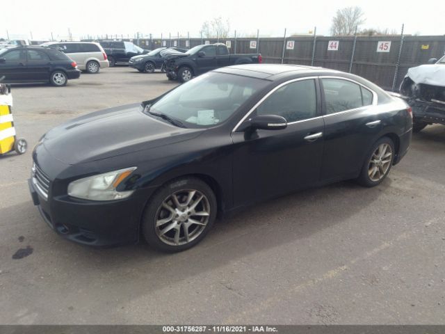 Photo 1 VIN: 1N4AA5APXBC861820 - NISSAN MAXIMA 