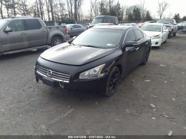 Photo 1 VIN: 1N4AA5APXBC862076 - NISSAN MAXIMA 