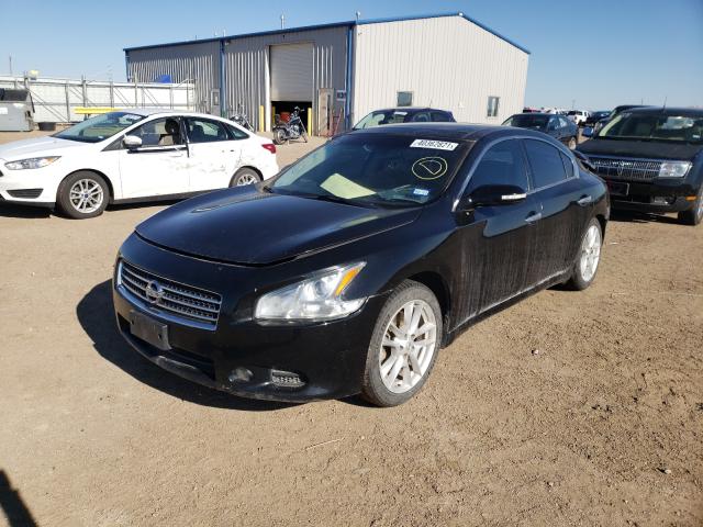 Photo 1 VIN: 1N4AA5APXBC863146 - NISSAN MAXIMA S 