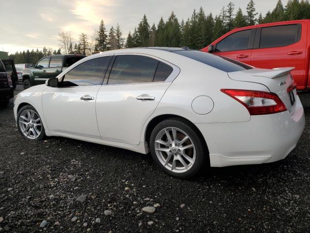 Photo 1 VIN: 1N4AA5APXBC865396 - NISSAN MAXIMA S 