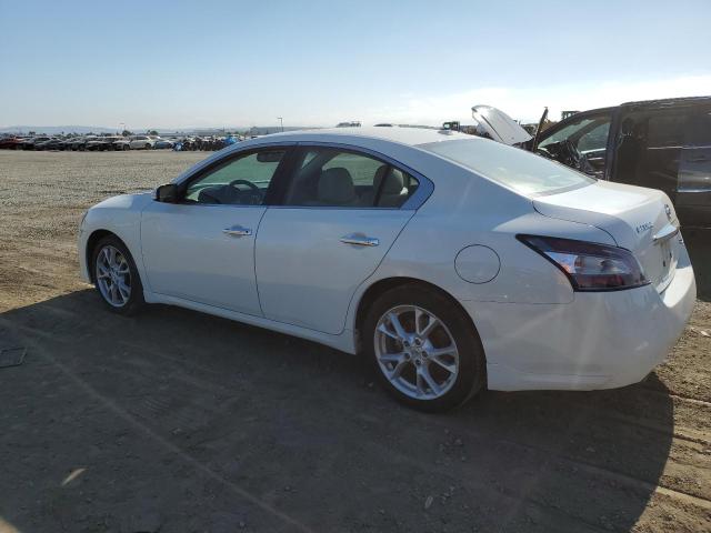 Photo 1 VIN: 1N4AA5APXCC803806 - NISSAN MAXIMA 