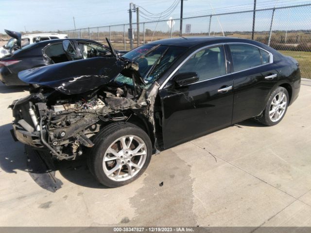 Photo 1 VIN: 1N4AA5APXCC810478 - NISSAN MAXIMA 