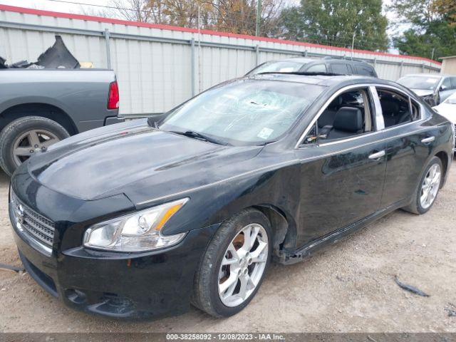 Photo 5 VIN: 1N4AA5APXCC835946 - NISSAN MAXIMA 