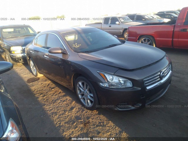 Photo 0 VIN: 1N4AA5APXCC838667 - NISSAN MAXIMA 