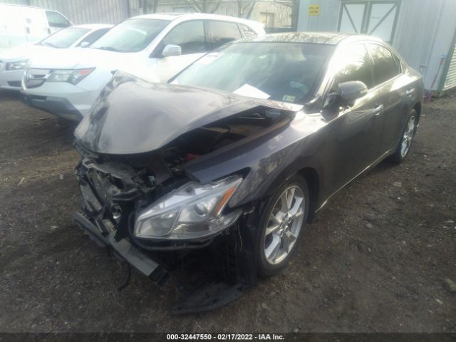 Photo 1 VIN: 1N4AA5APXCC841522 - NISSAN MAXIMA 