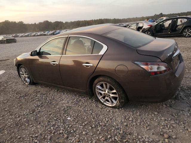 Photo 1 VIN: 1N4AA5APXDC800924 - NISSAN MAXIMA S 