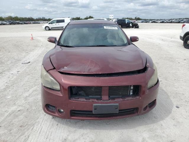 Photo 4 VIN: 1N4AA5APXDC803287 - NISSAN MAXIMA 