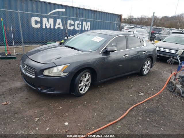 Photo 1 VIN: 1N4AA5APXDC818839 - NISSAN MAXIMA 